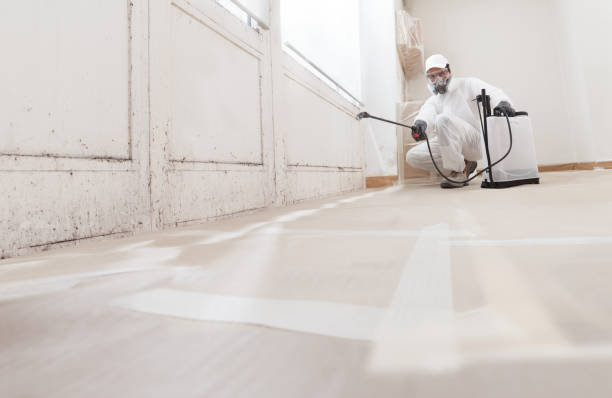 24/7 Emergency Mold Removal experts in Ponte Vedra, FL